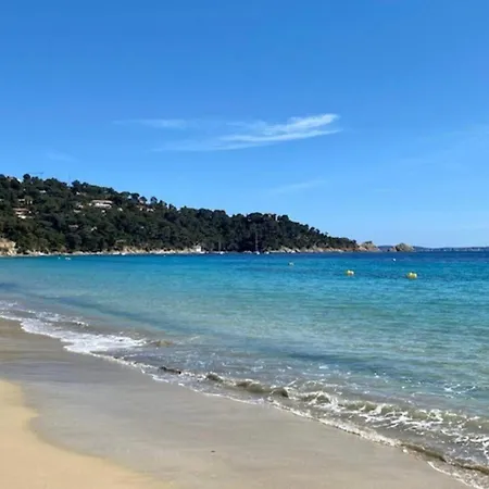 - Cavaliere Le Lavandou